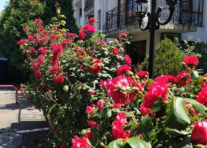 La Terrace Sea View * Sveti Vlas